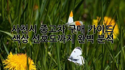 사천시 중고차 구매 가이드: 색상 선호도까지 완벽 분석!