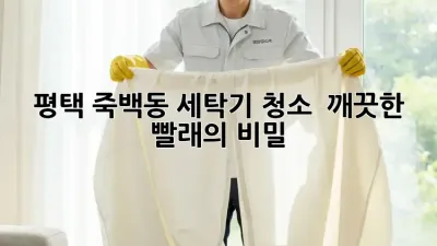 평택 죽백동 세탁기 청소 : 깨끗한 빨래의 비밀!