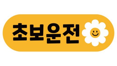 초특가! 자동차앞유리스티커 솔직 후기 & 꿀팁 대방출 🚗💨
